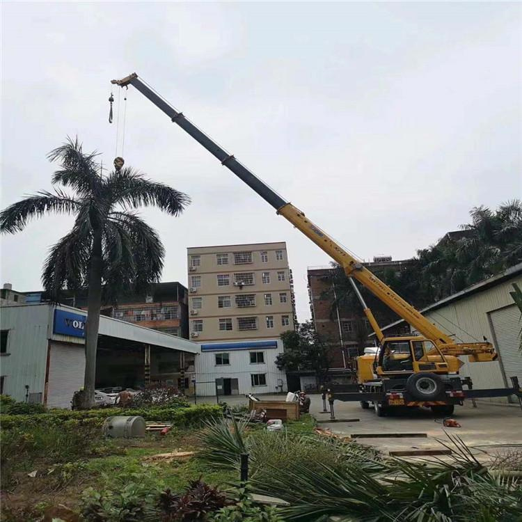 西平汽车吊出租多少钱？全面解析与市场行情